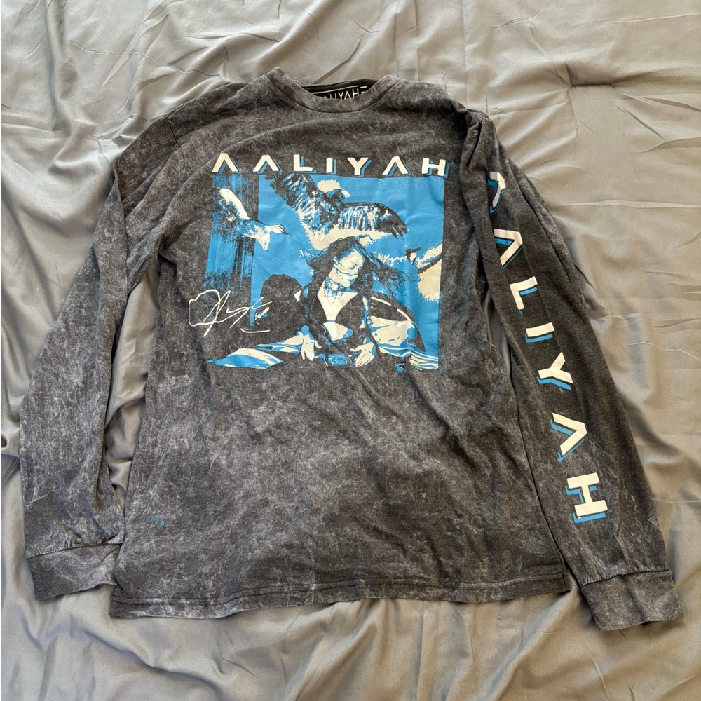 Small Aaliyah Long Sleeve Gray and Blue T Shirt Distressed
